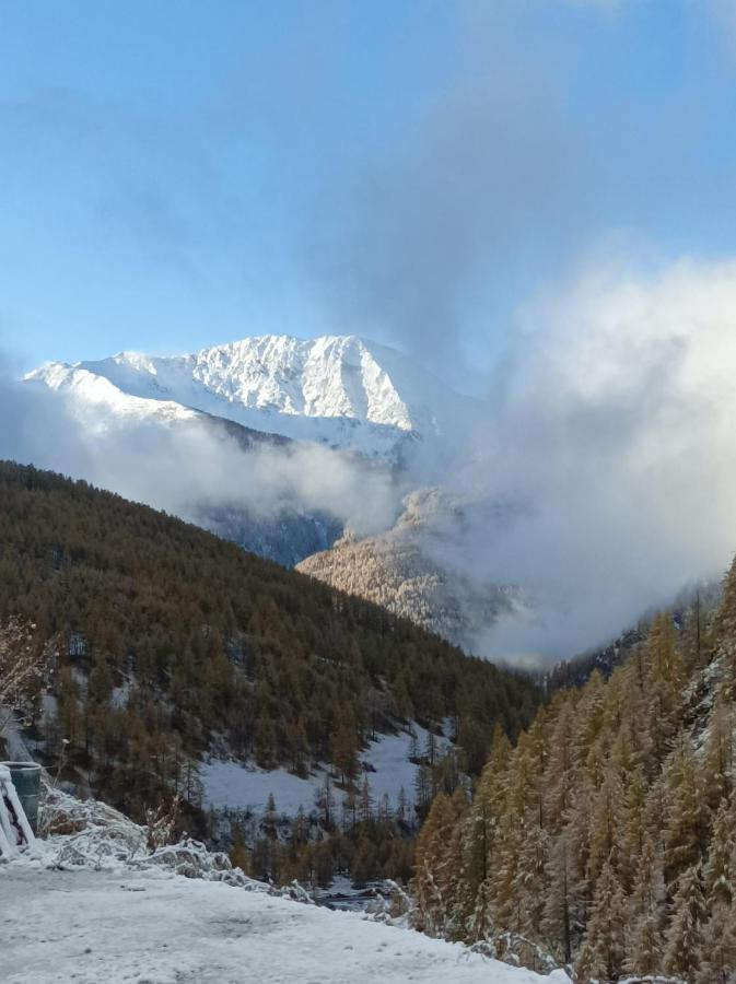 Les Hauts Du Roux Abries Bagian luar foto