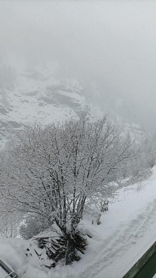 Les Hauts Du Roux Abries Bagian luar foto