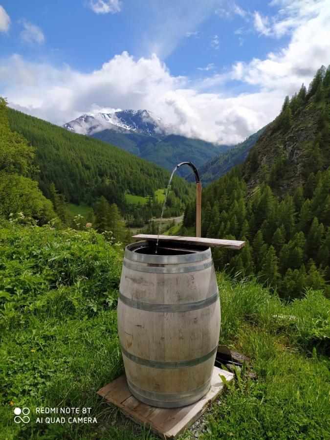 Les Hauts Du Roux Abries Bagian luar foto